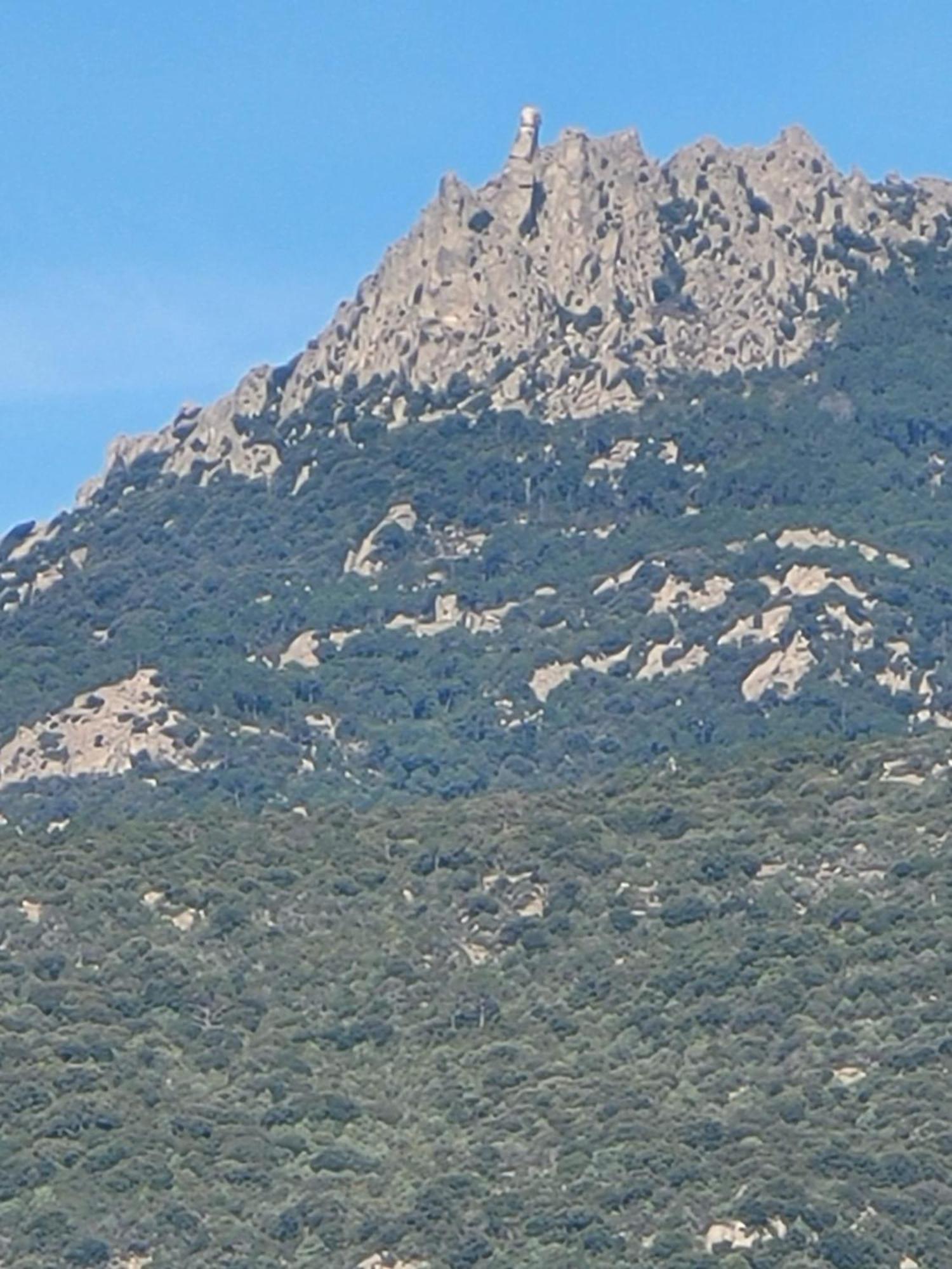 Argiale - Arghjale Villa Figari  Dış mekan fotoğraf
